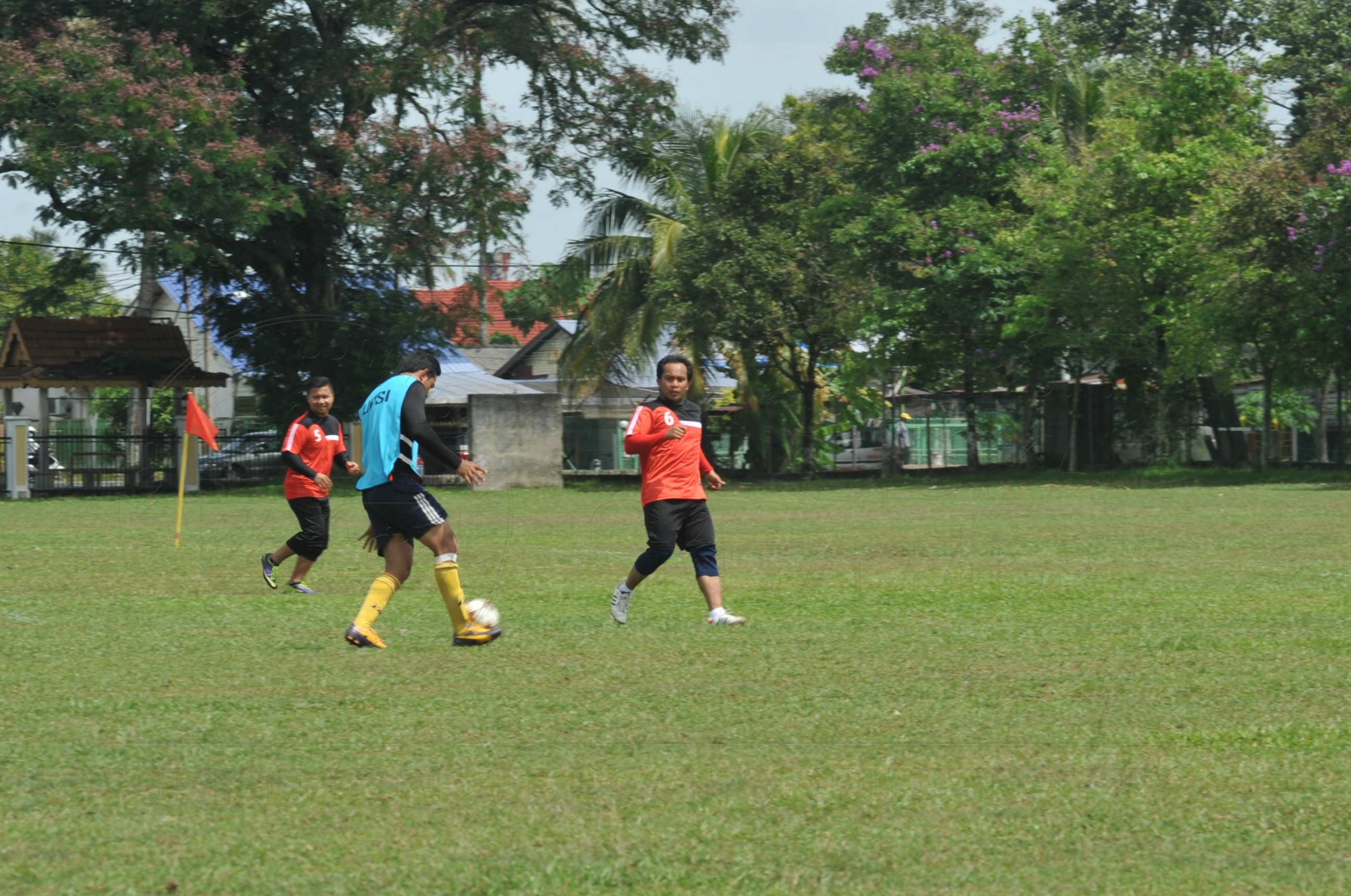 PRO 15 53 KIESTA HAS 6219